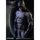 Batman vs Superman Dawn of Justice 1/2 Statue Batman 109 cm